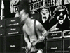 Joey